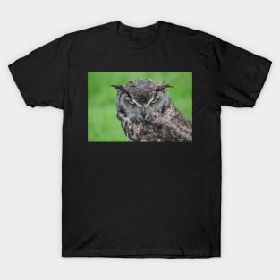 Great Horned Owl T-Shirt